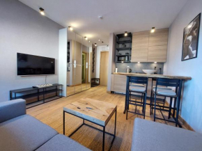 Apartment C519 - Aparthotel Vučko Jahorina - Private Host